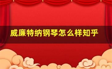 威廉特纳钢琴怎么样知乎