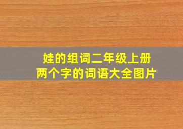 娃的组词二年级上册两个字的词语大全图片