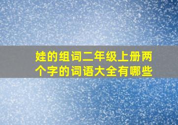 娃的组词二年级上册两个字的词语大全有哪些