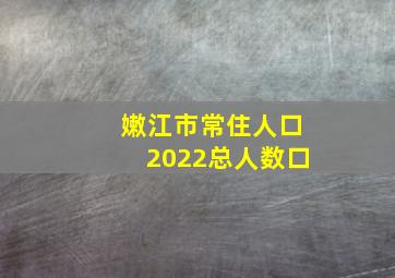 嫩江市常住人口2022总人数口