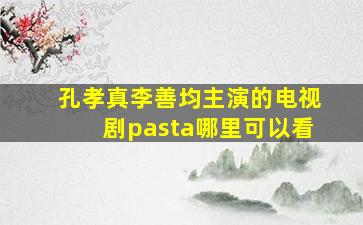 孔孝真李善均主演的电视剧pasta哪里可以看