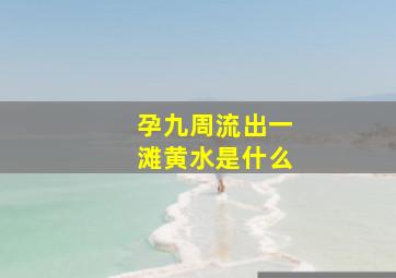 孕九周流出一滩黄水是什么