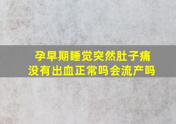 孕早期睡觉突然肚子痛没有出血正常吗会流产吗