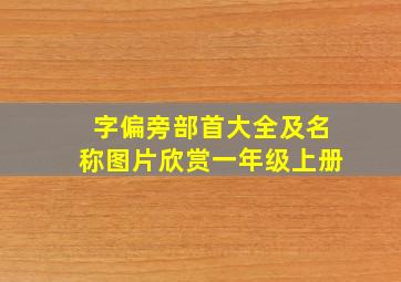 字偏旁部首大全及名称图片欣赏一年级上册