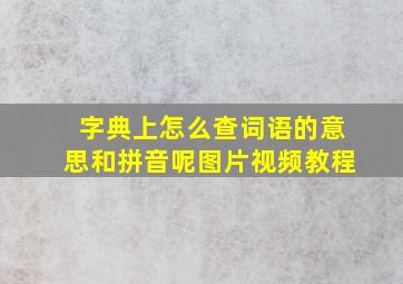 字典上怎么查词语的意思和拼音呢图片视频教程