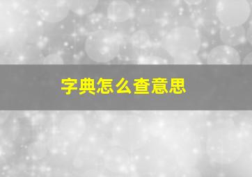 字典怎么查意思