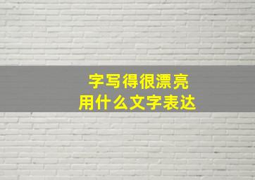 字写得很漂亮用什么文字表达