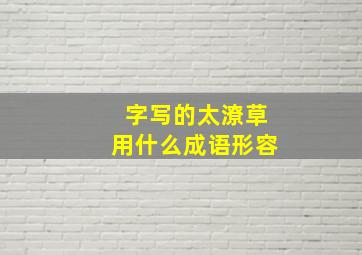 字写的太潦草用什么成语形容