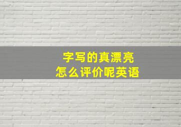 字写的真漂亮怎么评价呢英语