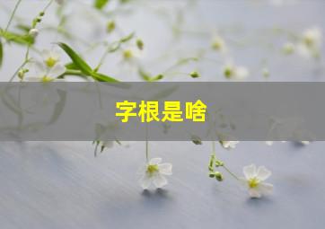 字根是啥