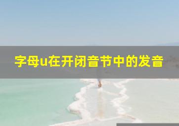 字母u在开闭音节中的发音