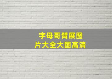 字母哥臂展图片大全大图高清