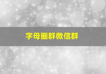 字母圈群微信群