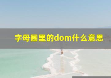 字母圈里的dom什么意思