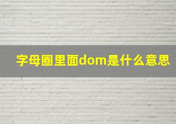 字母圈里面dom是什么意思