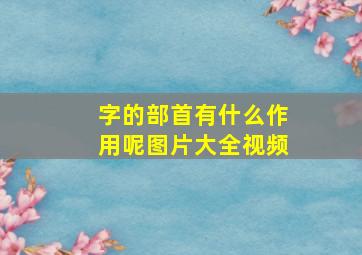 字的部首有什么作用呢图片大全视频