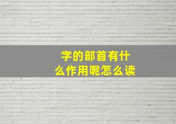 字的部首有什么作用呢怎么读