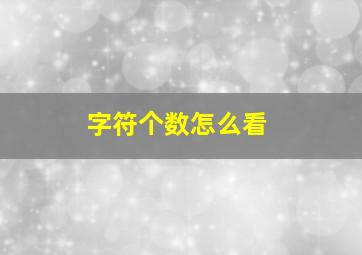 字符个数怎么看