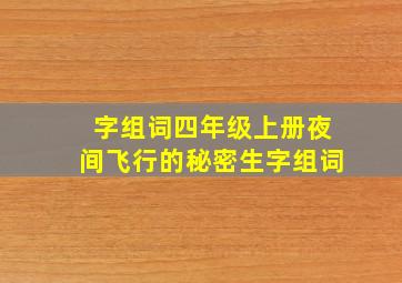 字组词四年级上册夜间飞行的秘密生字组词