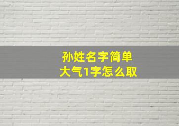 孙姓名字简单大气1字怎么取