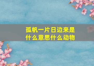 孤帆一片日边来是什么意思什么动物