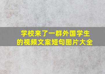 学校来了一群外国学生的视频文案短句图片大全