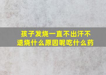 孩子发烧一直不出汗不退烧什么原因呢吃什么药