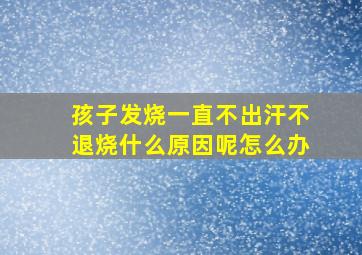 孩子发烧一直不出汗不退烧什么原因呢怎么办