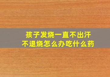 孩子发烧一直不出汗不退烧怎么办吃什么药