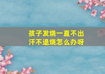 孩子发烧一直不出汗不退烧怎么办呀