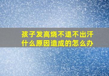 孩子发高烧不退不出汗什么原因造成的怎么办