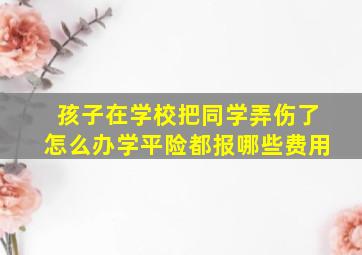 孩子在学校把同学弄伤了怎么办学平险都报哪些费用