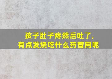 孩子肚子疼然后吐了,有点发烧吃什么药管用呢