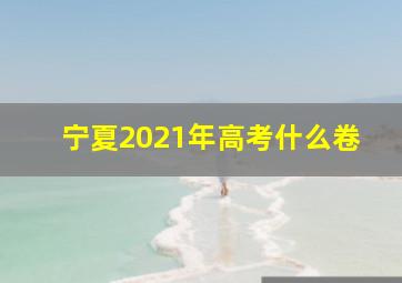 宁夏2021年高考什么卷