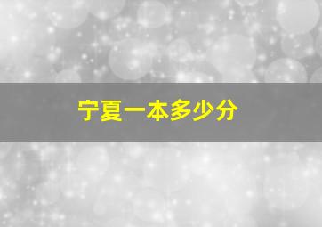 宁夏一本多少分