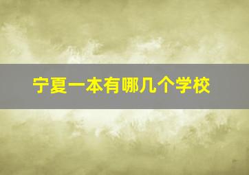 宁夏一本有哪几个学校