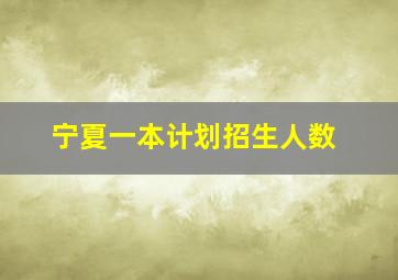 宁夏一本计划招生人数