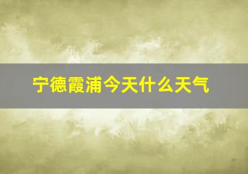 宁德霞浦今天什么天气