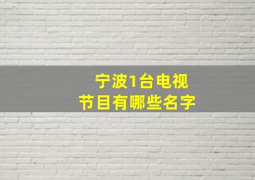 宁波1台电视节目有哪些名字