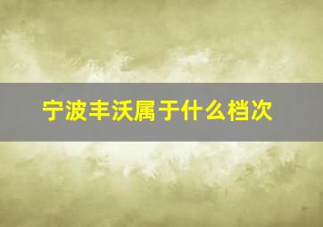 宁波丰沃属于什么档次