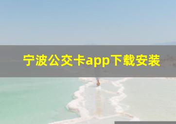 宁波公交卡app下载安装