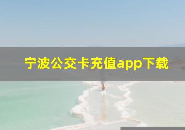 宁波公交卡充值app下载