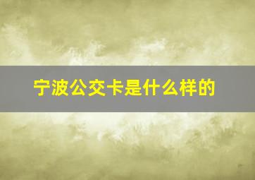 宁波公交卡是什么样的