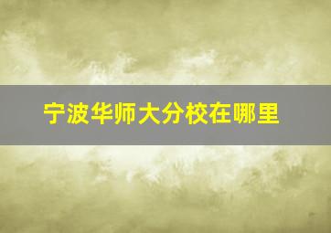 宁波华师大分校在哪里