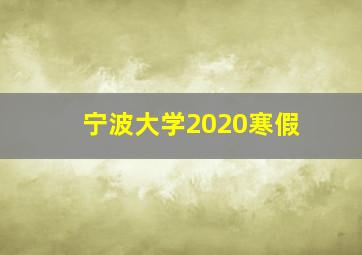 宁波大学2020寒假