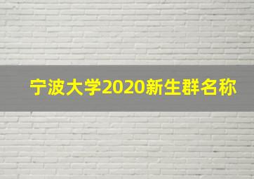 宁波大学2020新生群名称