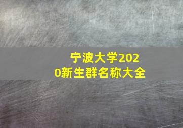 宁波大学2020新生群名称大全