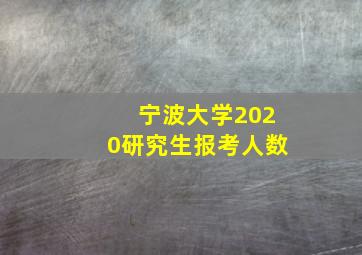 宁波大学2020研究生报考人数