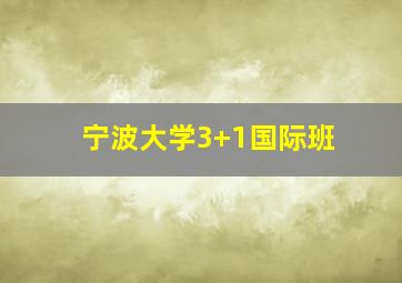 宁波大学3+1国际班