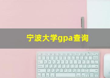 宁波大学gpa查询